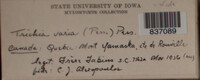 Image Associated With the Occurence
